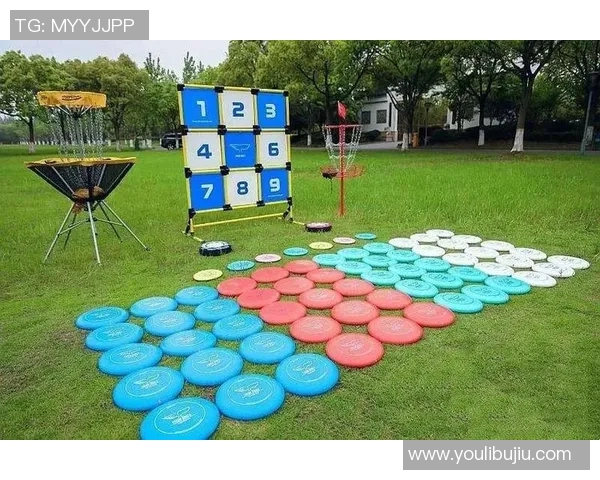 飞盘竞技的魅力与挑战：深入解析北京飞盘队的战术布局与团队协作